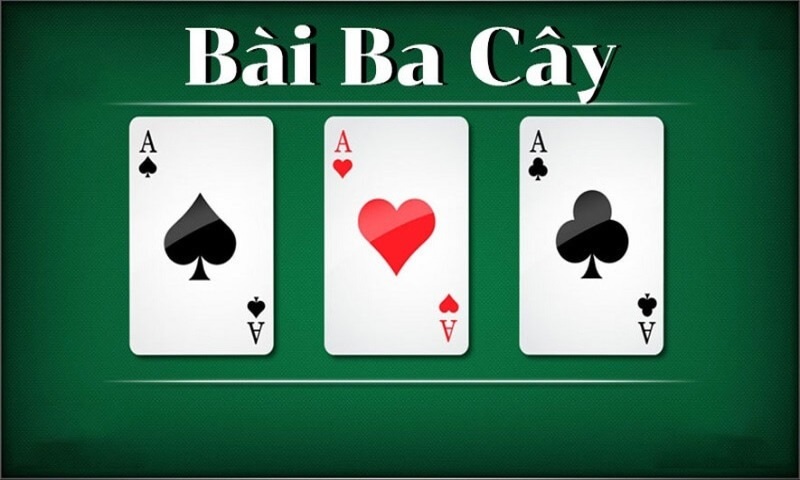 Bài 3 cây online là gì?